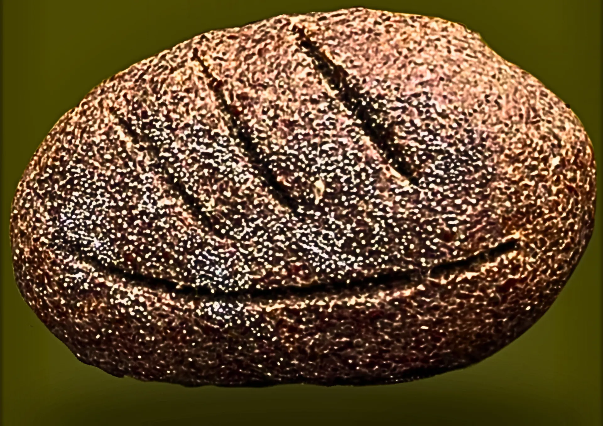 Classic Low Carb Protein Bread — 750g